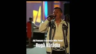 Adi Poenaru & Formația Mile Povan! #AdiPoenaru #live #muzicapopulara #trending #music #shortvideo