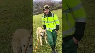 Stana și Oile lui Vasile POPIUC ,Vișeul de Mijloc ,Maramures