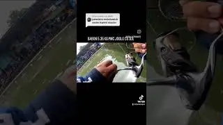 babon nyott banget #shortvideo #shorts #shortsfeed #donkempos #mancingviral