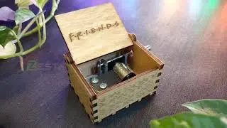 Friends Music Box | Zesta India