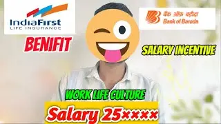 IndiaFirst Life Insurance Job Role in Bank of Baroda | Banca Channel Job Profile & Salary Explained