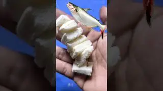 Easy Way to Install Fishing Bait #shorts #fishing #tutorial