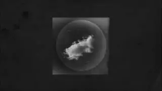 Azenoire - Faun