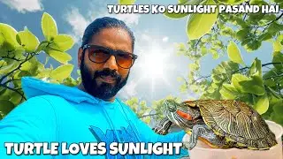 Apne turtle ko basking kaise karay | how to give sunlight to turtle #vlog #dailyvlog 