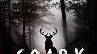 Kshmr & Reez - Scary