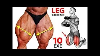HARDCORE Leg Day Training 🏋️&zwj;♂️ | Full Workout for Massive Legs