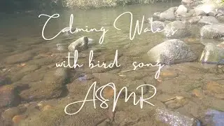 Calming Waters: With Birdsong - A Video To Relax To (ASMR)