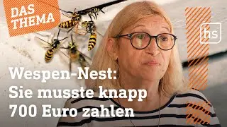 Abzocke bei Sch&auml;dlingsbek&auml;mpfung | hessenschau DAS THEMA