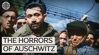 Auschwitz In Color: The Harrowing Reality Of The Holocaust Revealed