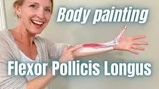Time Lapse Anatomy Tutorial: What Flexes the Tip of the Thumb?