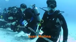 Buceo TIBURON TORO playa del carmen - Grupo Arturo