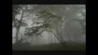Alvin Lucier: Nothing is Real (Strawberry Fields Forever)