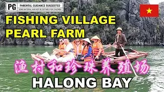 Fishing village & Pearl Farm | 下龙湾的渔村和珍珠养殖场 | 3 DAYS 2 NIGHTS HALONG BAY CRUISE | NORTH VIETNAM