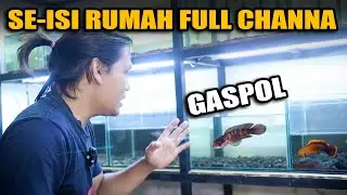 RUANGAN LUAR DALAM ISI CHANNA SEMUA