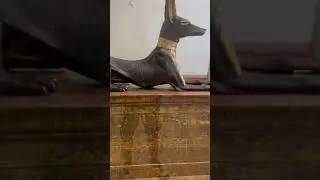 God Dog &ldquo;Anubis&rdquo; #ancientegypt #dog