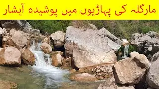 Nilan Water Ponds - Kot Jhandan, Margalla Hills