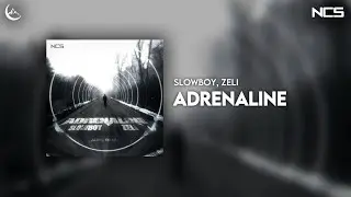 Slowboy, Zeli - Adrenaline [Aurorian x NCS]