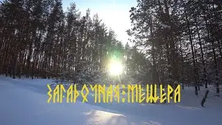 Поход по зимней Мещере.