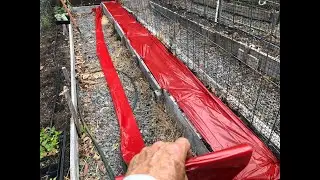 Red Plastic Mulch for Tomatoes and Peppers