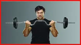 SCB 248 Curl Bar Review Durable Chrome Plated Bar for Your Home Gym