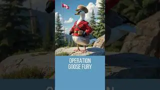 Operacja Gęsia Furia