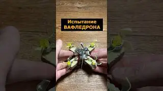 Первое испытание ВАФЛЕДРОНА #фпвдрон #испытания #самоделка #вафледрон