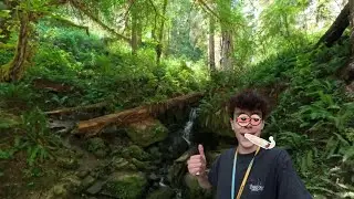 Зут в мифическом месте джунглей