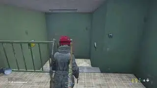 Dayz