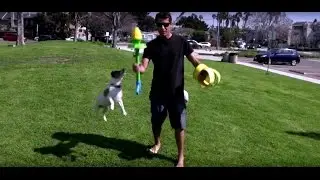 Hilarious Dogs Compilation Of HurriK9 Fetch Toy