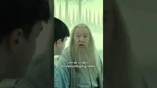 Teil 9 der Weisheiten #renitschki #harrypotter