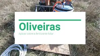 Oliveiras | Montei um pulverizador de baixo custo para os tratamentos foliares