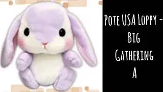 [Toreba]  Pote USA Loppy