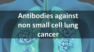 Antibodies against Non Small Cell Lung Cancer (ALK)