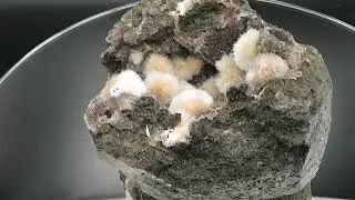 Thomsonite Specimen (5) Deshgaon / India