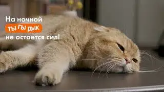 PET FLAT - Интерактивная игрушка Magic Tail