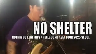 No Shelter Live in Seoul | Babydoll 5.23.2025
