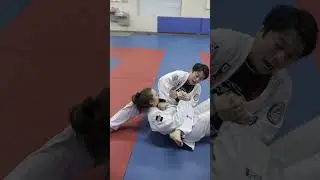 Loop Choke From Arm Bar | Sneaky Setup #shorts #jiujitsu