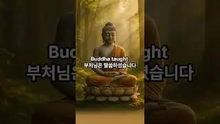 Acceptance is freedom