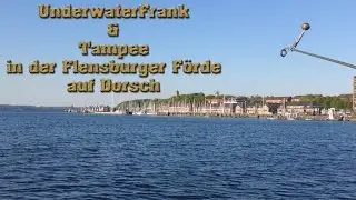 Real Angeln mit Tampee und UnderwaterFrank auf Dorsch in der Flensburger F&ouml;rde