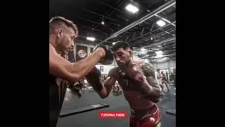 Ilia Topuria Training Edit 🇪🇸🌹 #ufc #iliatopuria #ufc317 #knockout #spain