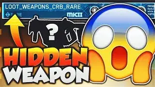 HIDDEN DLC WEAPON?!... (GLITCH)