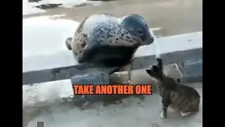 Trouble at the docks