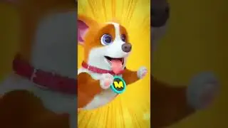 😓😓Moco dog Funny moments #shorts