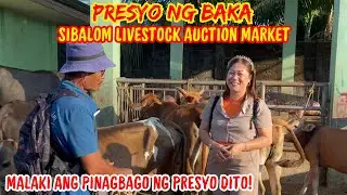 PRESYO NG BAKA SA SIBALOM LIVESTOCK AUCTION MARKET | MALAKI ANG PINAGBAGO | SOLLE'S GANDANG BUHAY