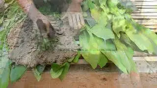 Forest Style hand made House Building.. 🏕️🏕️⛲..!! #forest #handmade #house #building #youtube