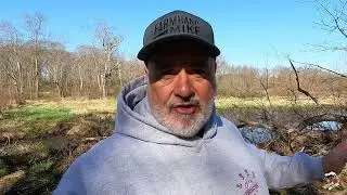 Exploring some Beaver Habitat in Northeast Ohio