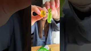 Trying Walgreens Green Apple Peelable Gummies 🍏 #walgreens #gummy #gummies