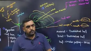 #boards Morphology of flowering plant || Lecture 2 || Leaf Structure and Modifications (Easy Way)