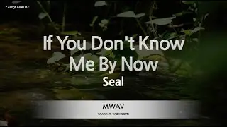 Seal-If You Don't Know Me By Now (Karaoke Version)