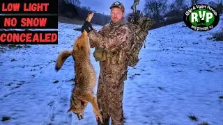 Трудный путь на санях - Охота на койота RVP